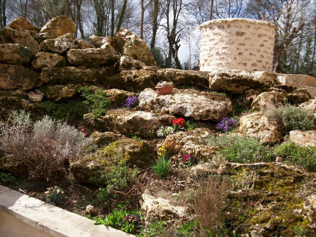 Chambre D'Hote Moulin Du Ru Aulnoy Extérieur photo